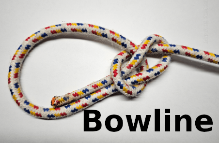 Bowline knot shown